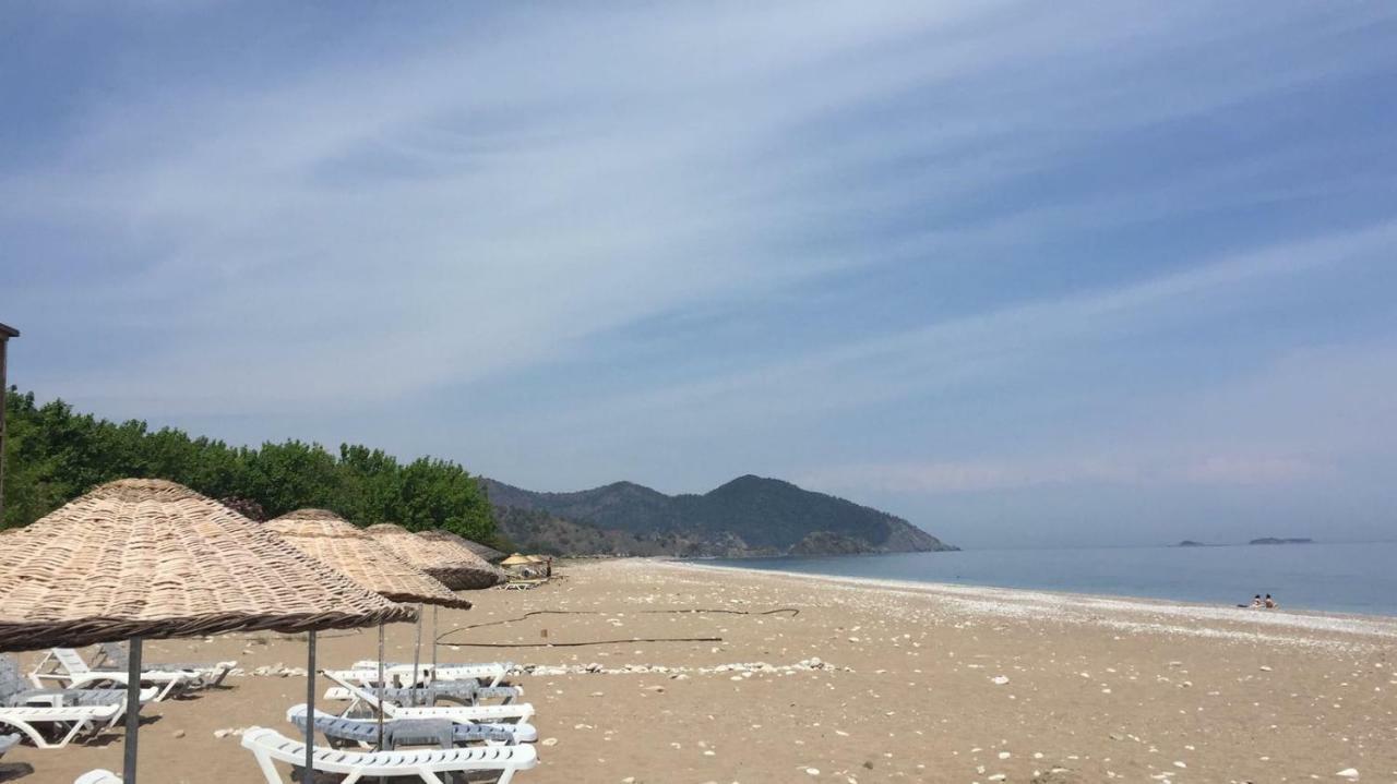 Oblomov Hotel Çıralı 외부 사진